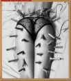 /album/pregadores/tumblr-lbz48ow9wb1qzqbf4o1-1280-jpg/